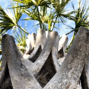 Meet your Posher, Sofia